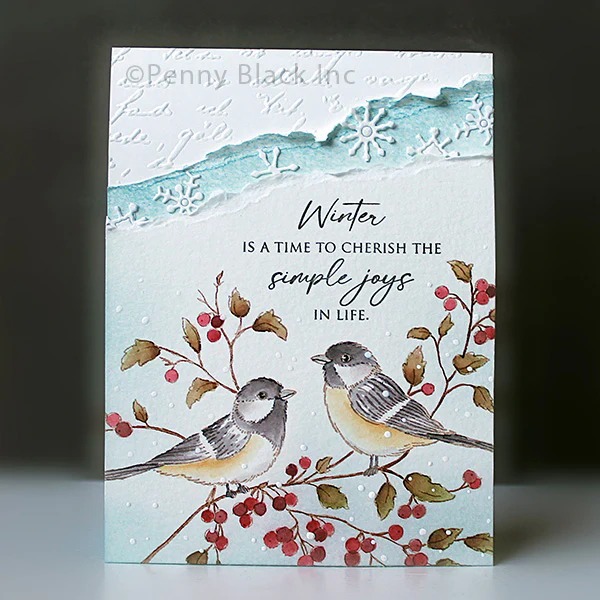 طوابع سيليكون شفافة من Quiet B - مراجعة Clear Silicone Stamps For Card Making وسعره
